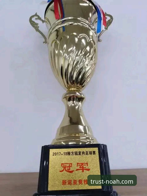 诺亚体育合法吗最新版 诺亚体育合法吗最新版 vs 传统体育平台:哪个更值得选择?